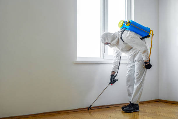 Best Termite Inspection and Treatment  in Mission, KS